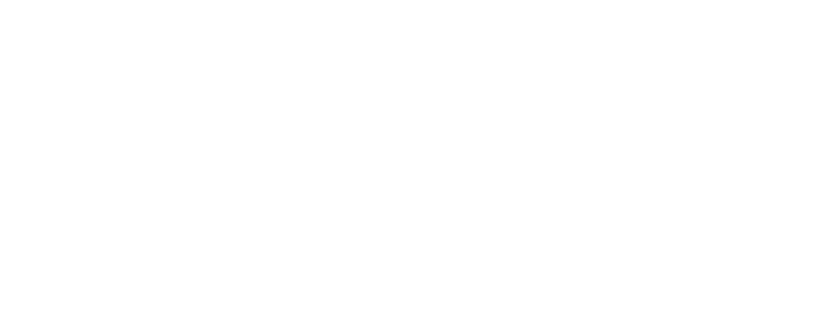 Analista 360