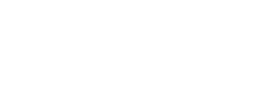 Scouting 360